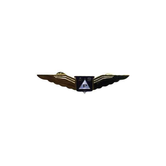 "APSA Wing" Gold Pin